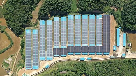 賦能畜牧業綠色發展 日托輕柔組件項目落地福建