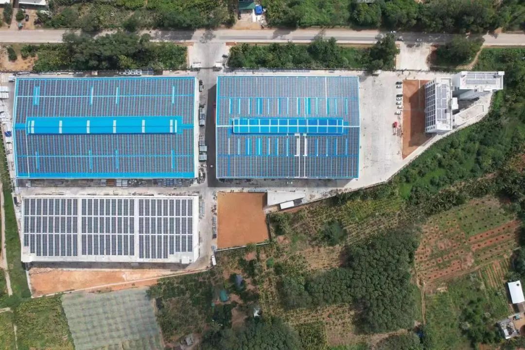 日托輕柔組件攜手華能海南公司助力碳中和