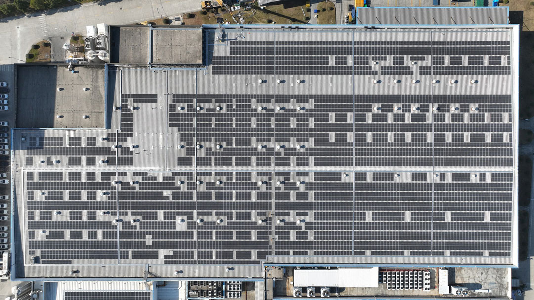 日托綠色科技賦能乳業,伊利光伏項目點亮可持續未來